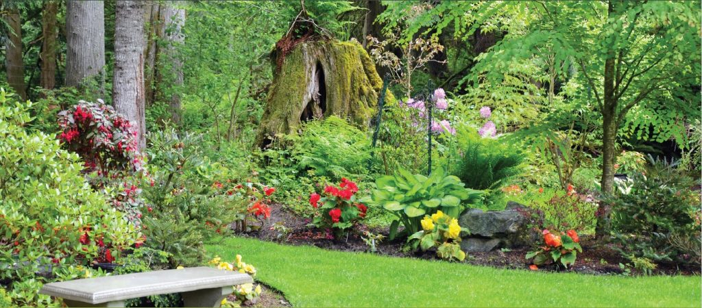 Garden Tips from Kynoch Garden Range July 2023