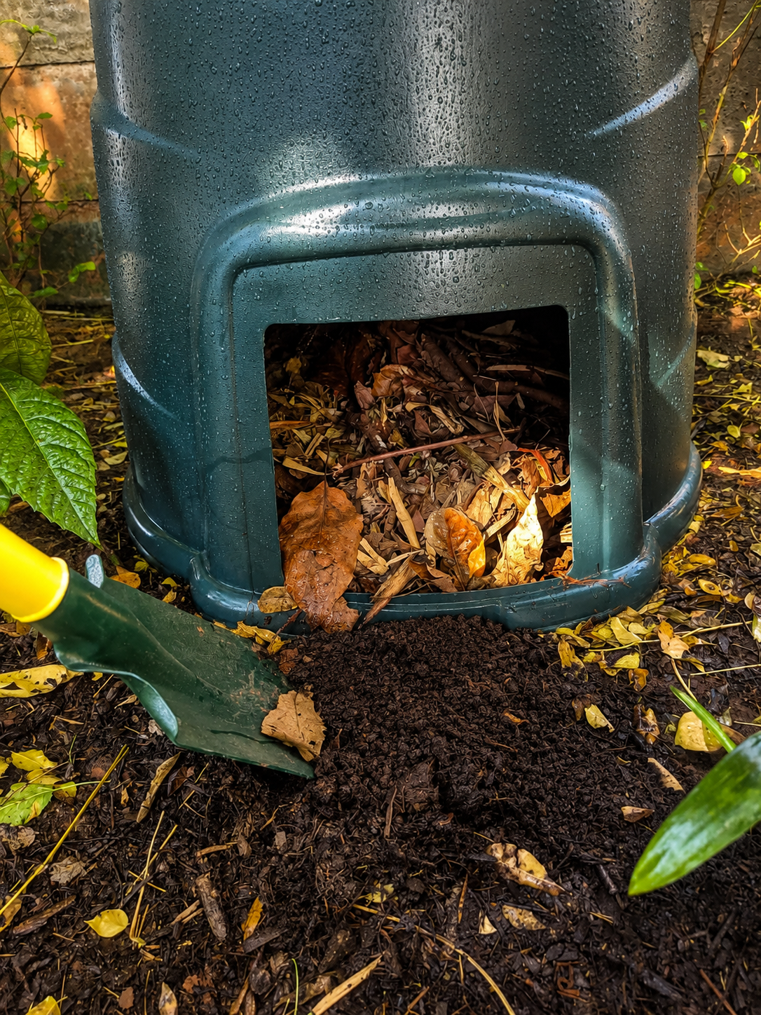Finished compost from compost bin