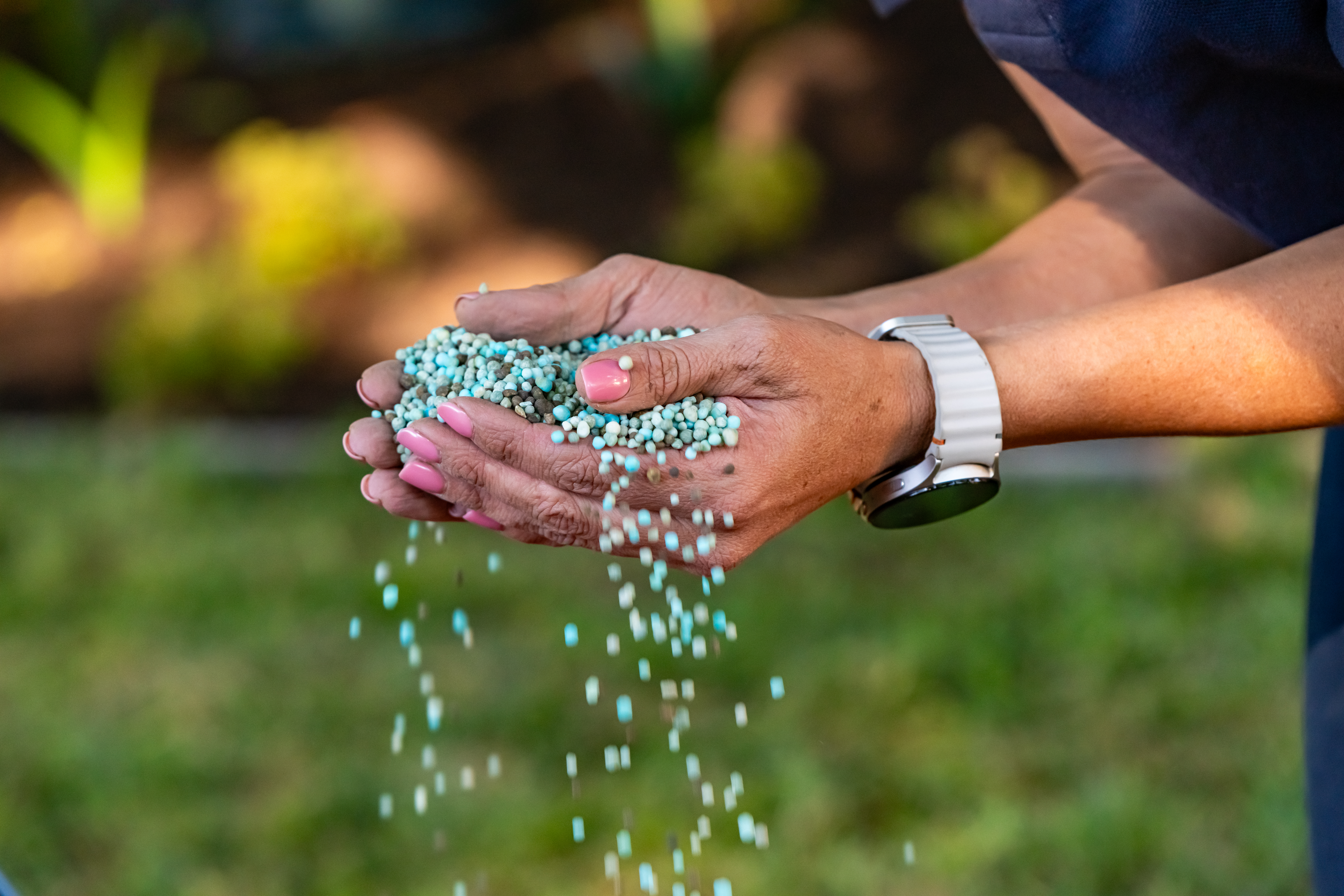 Kynoch fertilizer feeding garden plants