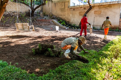 Workers laying a new lawn in a prepared garden