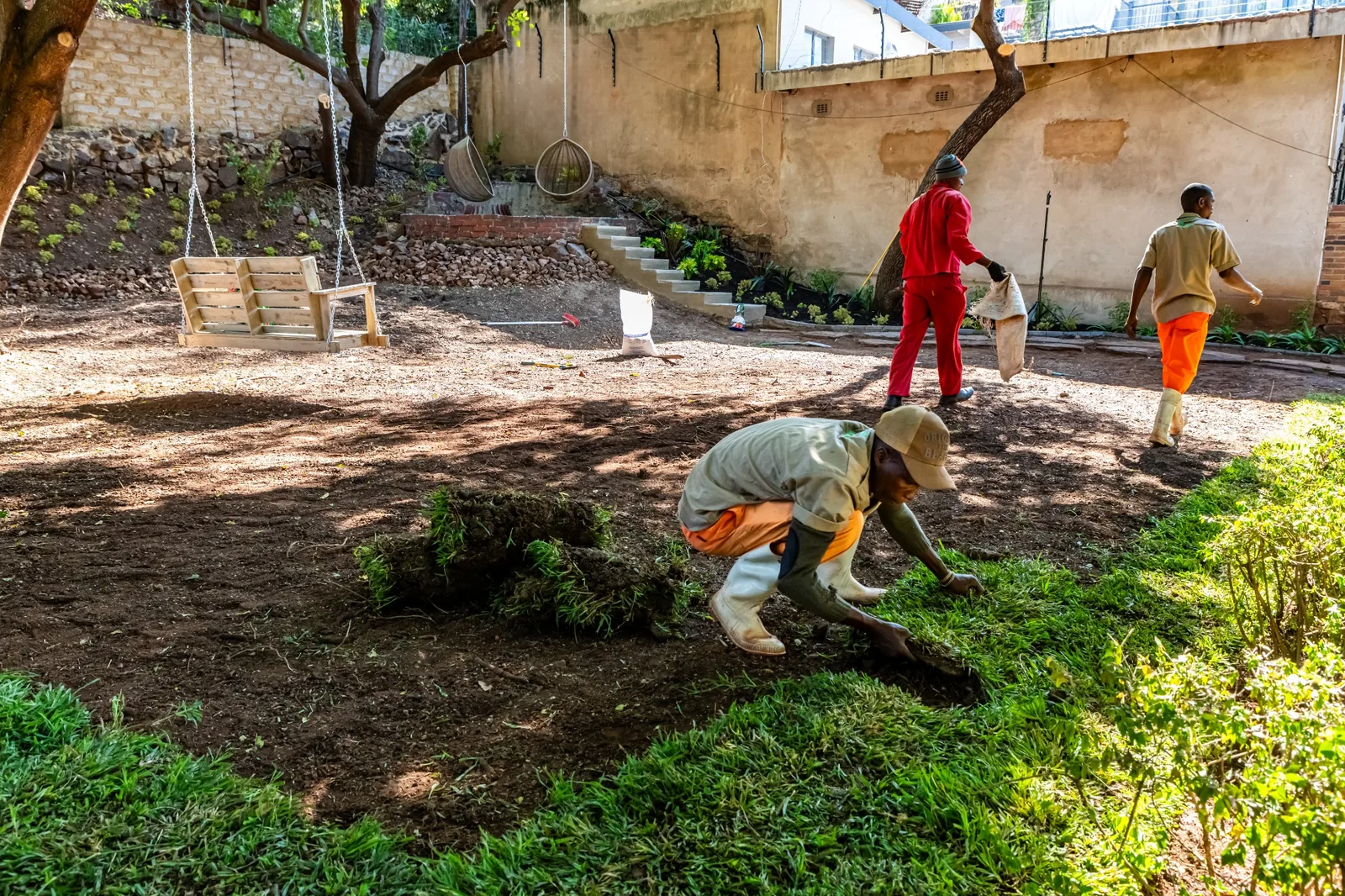 Workers laying a new lawn in a prepared garden